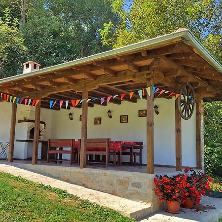 Villa Старият Дюкянь Elena Esterno foto
